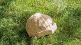 Paul Knöfel Design