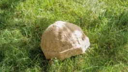 FibraForm: Strohhut im Gras