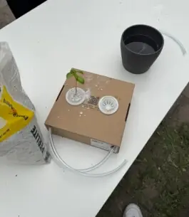 Future Fountain: Prototyp mit Pods, Schlauch und Wasserbehälter