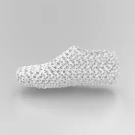Grasshopper-Formstudie: Schuh mit Korallenstruktur 
