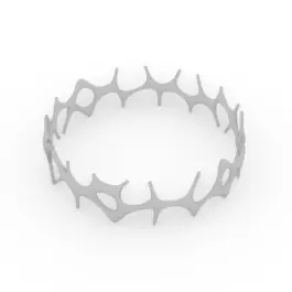 Grasshopper-Formstudie: Ring mit feinen Dornen 